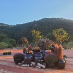 천년학힐링타운