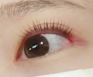 아이홀릭