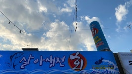 살아생전 회