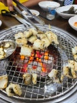 나광바다장어