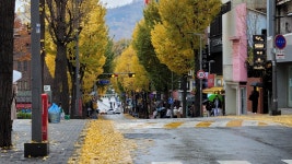 닥터공인중개사사무소