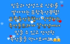 포항축산농협 한우프라자 달전점