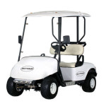 스카이투어 골프카트