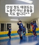 용인대정도태권도