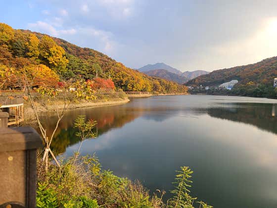 카페 브레드포레 사진