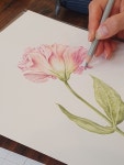 색연필 그림정원