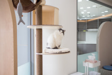 고척 원 동물의료센터