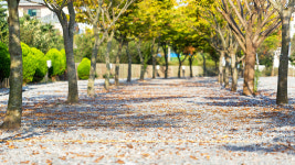 마린오토캠핑장