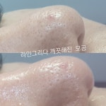 라인그리다