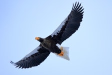 한국경영연구소