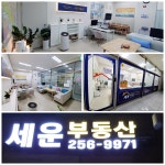 세운부동산공인중개사사무소