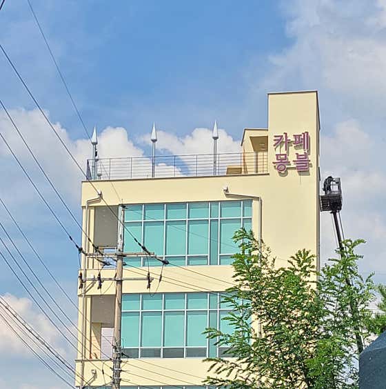 카페 몽블 사진