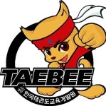 비산태비태권도