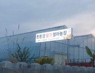 준이네 농장