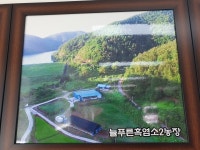 늘푸른흑염소 2농장
