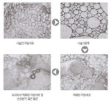 더 클래스 에스테틱