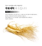 손가네인삼