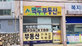 백두부동산