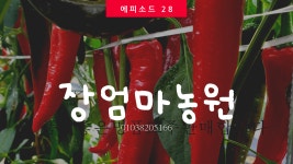 장엄마사과농장
