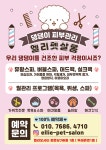 엘리펫살롱