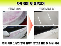 봉스개러지 스팀세차