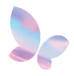 케이비씨인터네셔널