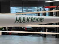 신불당헐크복싱