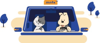 멍타냥택시