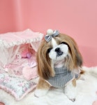 러블리 애견미용실