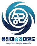 용인대승리태권도