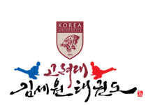 고려대김세원태권도