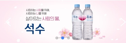 진로석수