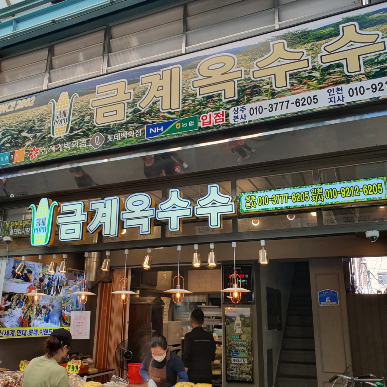 금계옥수수 이미지
