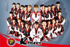 경희대박사태권도