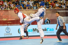 경희대박사태권도