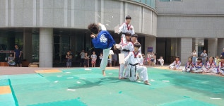 경희대박사태권도