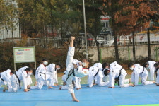 경희대박사태권도