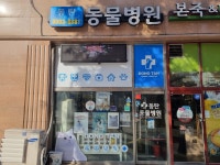동탄동물병원