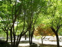 옥당걸 숲속캠핑장