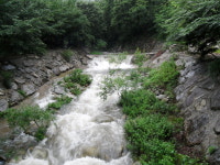 옥당걸 숲속캠핑장