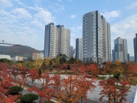 우디안탑 공인중개사사무소