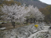 옥당걸 숲속캠핑장