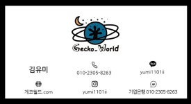 게코월드