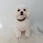 제이그루밍