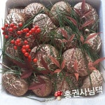 석정원 산골체험 농장