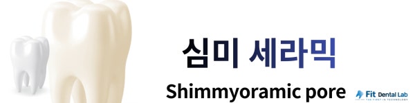 피트치과기공소
