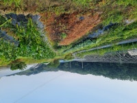 배울채영해농장