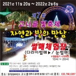 고니골빛축제