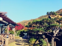 배내골산골이야기