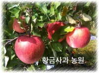 황금사과농원